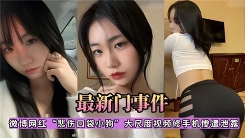 网传微博网红悲伤口袋小狗大尺度视频修手机惨遭泄露